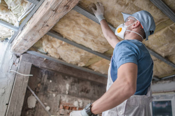Best Insulation Installation Services in Thorsby, AL