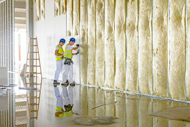 Best Commercial Insulation in Thorsby, AL